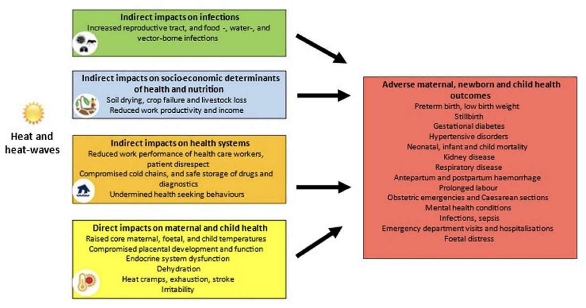 Thumbnail of individual participant data meta-analysis protocol workflow