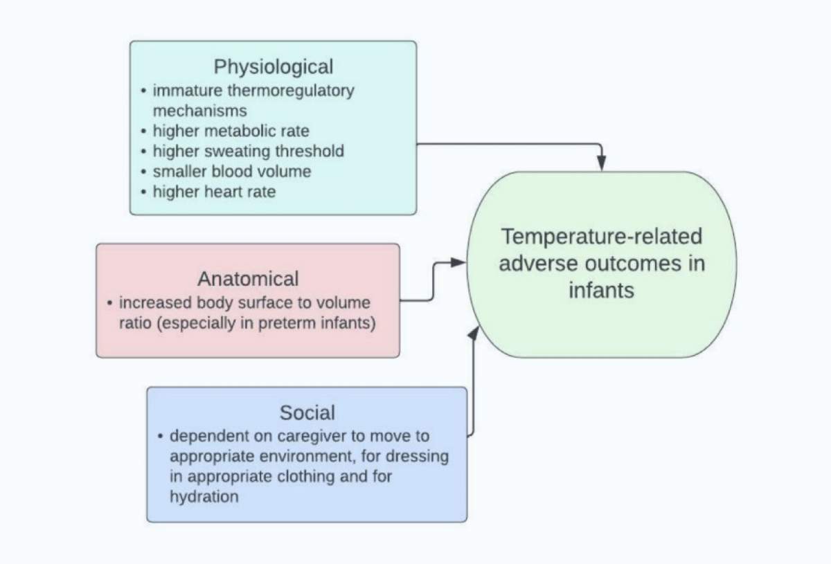 Thumbnail graph showing temperature extremes and infant health impact